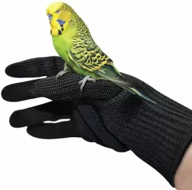 050132737367 ALFYNG Bird Training Anti Bite Gloves Animal
