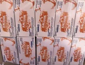 22995 AMERCARE ROYAL General Gloves Disposable Latex