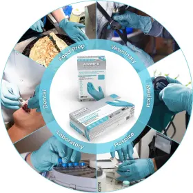 445038693610 AMMEX Nitrile Disposable Exam Gloves Mil Latex #3