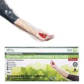 313110195109 BISON LIFE Disposable Food Handling Poly Gloves