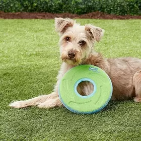 181001 CANINE HARDWARE Zipflight Dog Toy #3
