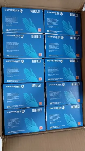 DSG-ENG-01 DEFENDER SAFETY Nitrile Powder Disposable Gloves