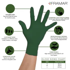 680343900283 FRAMAR Gloves Disposable Latex Nitrile Dispos #2