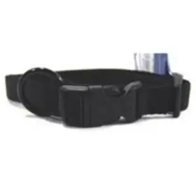 82203904 HAMILTON Dog Collar