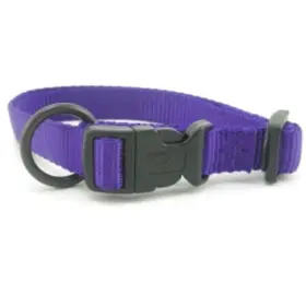82203909 HAMILTON Dog Collar