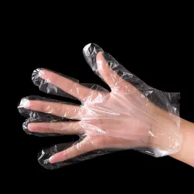 619011543460 HLIN Gloves Disposable Food Trans #2