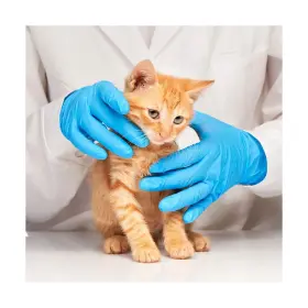 NGPF7002C JOINTOWN Jt Medical Nitrile Exam Gloves Latex #2