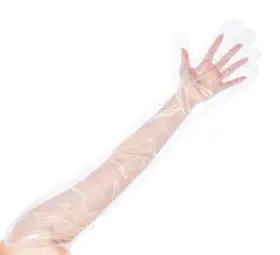 77810A KINGSEAL Poly Disposable Gloves Mil Thi