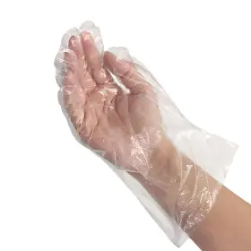 810148530228 KLEEN CHEF Disposable Gloves Food