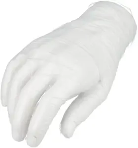 GLVPFN-2XL-10 PACKAGINGSUPPLIESBYMAIL Powder Gloves Food
