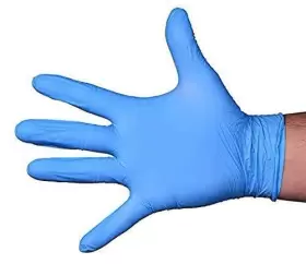810011475090 PANTRYWARE ESSENTIALS Nitrile Gloves #2