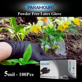 PA-LBKCS2 PARAMOUNT Latex Gloves Powder Tattoo #2