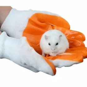 920025ZDO24WLA4UCMZS POPETPOP Animal Handling Gloves Chewing #2
