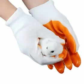 920025ZDO24WLA4UCMZS POPETPOP Animal Handling Gloves Chewing #3