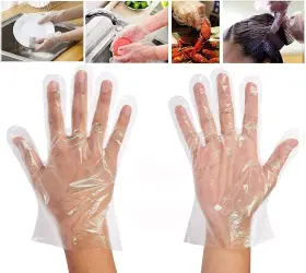 682604670904 RAYHEE Gloves Disposable Food Transp