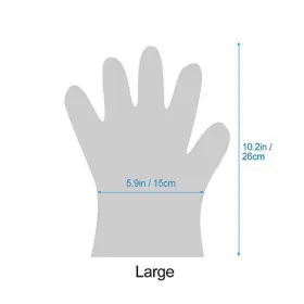755641644099 RETAIL SIGN SYSTEMS Gloves Disposable Lebonheurs #2