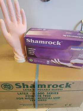 60600 SHAMROCK Latex Gloves Box