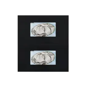 SI-BDG41 SIMPLYIMAGINE Glove Box Holder Dispenser Double Rack #2
