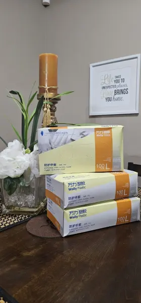 WLPF01010-L-100D WALLY PLASTIC Disposable Gloves Powder