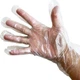 500 Count Light Duty Poly Disposable Gloves, Powder-Free, Latex-Free, Food Sa...