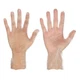 MCR SAFETY 5015M Disposable Gloves,Vinyl,M,PK100 49DA53