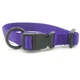 Hamilton Adjustable Dog Collar 3/4 In 16-22 Medium Purple