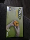 SUNSET VIN104PF XL Powder-Free Vinyl Gloves - Pack of 100