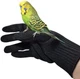 alfyng Bird Training Anti-Bite Gloves, Small Animal Handling Black 