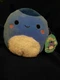 Squishmallow 8" Jacken Medium Blue Cream 2024 Box Lunch Exclusive New with Tag*