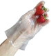 Safety Zone GDPE-LG/P2163 High Density Clear Polyethylene Glove-Large 2 Pack
