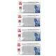 Synguard Nitrile Exam Gloves Powder-Free Blue medium (4x 100/Bx)