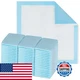 Halyard Disposable Standard Underpads Incontinence Bed Pads 23 X24 Inches Case
