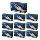 AMMEX GlovePlus Vinyl Gloves Small IVPF42100 Powder Free Industrial Case of 10