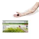 1 Size Fits Most, Disposable Food Handling Elbow Length Poly Gloves - 100 per Bo
