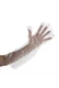 ROYAL RDEG-100 21.5" Elbow Length Disposable Poly Gloves One Size 3/100 CT NIB