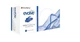 Cranberry Evolve 300 Nitrile Exam Gloves Powder Free 300ct. LARGE