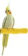 Comfort Grip Safety Perch for Bird Cages - Pedicure Perch for Birds to Keep Nail