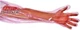 50Pcs Disposable Long Plastic Gloves for Veterinary Insemination, Full Arm Vet a