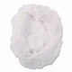 AmerCareRoyal RP110NWP 21" Pleated Operating Room Cap - White (1000/CT) New
