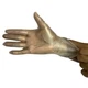Powder-Free Disposable Gloves Small Vinyl Clear 200 Gloves Free Shipping