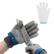 Restaurantware-Life Protector 10 X 4.1 Inch Kitchen Glove For Cutting 1