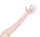 100 Count | Poly Shoulder Length Disposable Gloves, 34 inch length, 1.6 mil t...