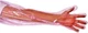 50Pcs Disposable Long Plastic Gloves for Veterinary Insemination, Full Arm Vet a