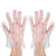 500 Pcs Disposable Plastic Gloves Food Prep Gloves for Cooking Serving Kitchen