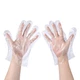 100 pcs Plastic Disposable Gloves,Disposable Gloves, Size Fits Most