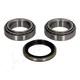44-18001 Ashika Wheel Bearing Kit for Suzuki