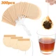 300PCS Tea Filter Bags Disposable Empty Teabag Drawstring Infuser for Loose Leaf