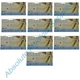 Ansell Microflex XCEED Powder-Free Nitrile Medica 2,300 Gloves X-Large XC-310-XL