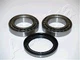 ASHIKA 44-18001 FRONT WHEEL BEARING KIT FOR SUZUKI