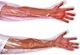 50Pcs Disposable Long Plastic Gloves, Veterinary Insemination Gloves, Full Ar...